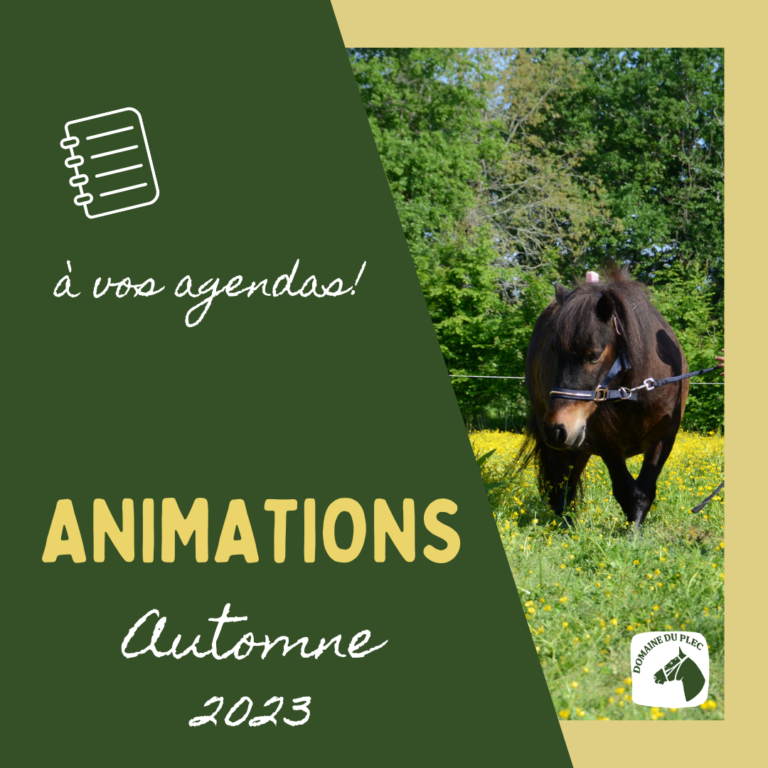 animations plec automne 2023