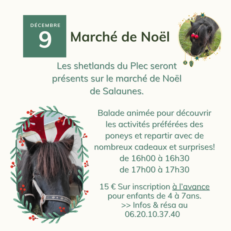 marché de noel